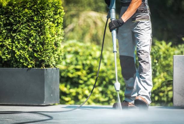 Best Building Exterior Washing  in Lake Wilderness, VA